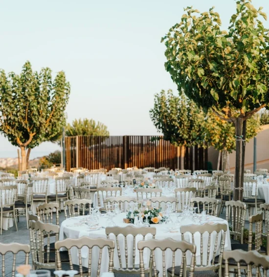 Ανώνυμο σχέδιο (13)